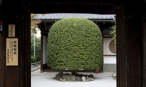 京都の庭園